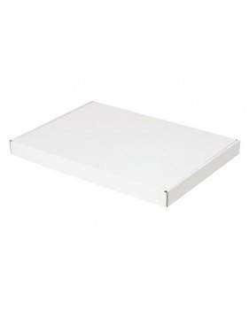 Boîte blanche pour boîtes aux lettres format A4 - 31 x 21,5 x 3cm  ...