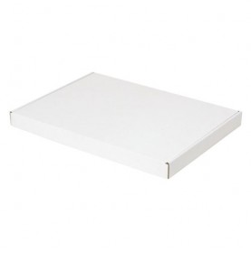 Witte standaard brievenbusdoos formaat A5 - 22 x 15.5 x 3 cm  - Home 2