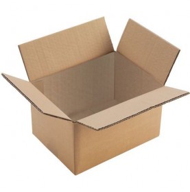 Caisse carton / boite en carton brun 25 x 15 x 10cm simple cannelur...
