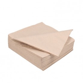 100 Serviettes en papier BIO 33cm Naturel 2 couches 100% recyclées ...