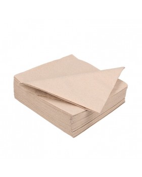 100 x 100% Gerecyclede BIO Tissue servet 33cm 2 laags Natuur  - Home