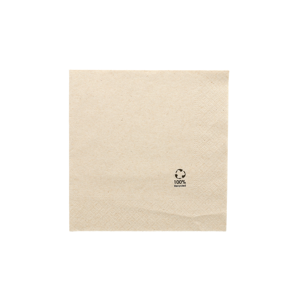 100 x 100% Gerecyclede BIO Tissue servet 33cm 2 laags Natuur  - Home