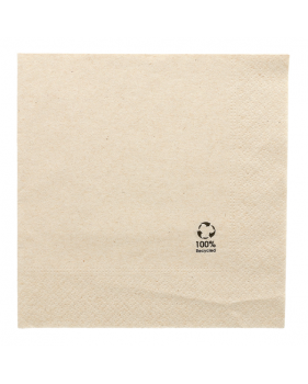 100 Serviettes en papier BIO 33cm Naturel 2 couches 100% recyclées ...