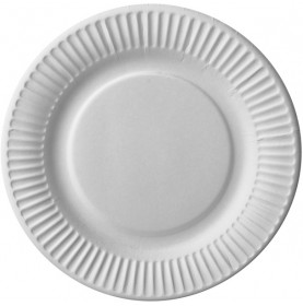100 x assiettes 23cm en carton blanc éco  - Accueil