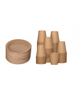 100 assiettes carton 23cm + 100 gobelets carton 240ml-Vaisselle jet...